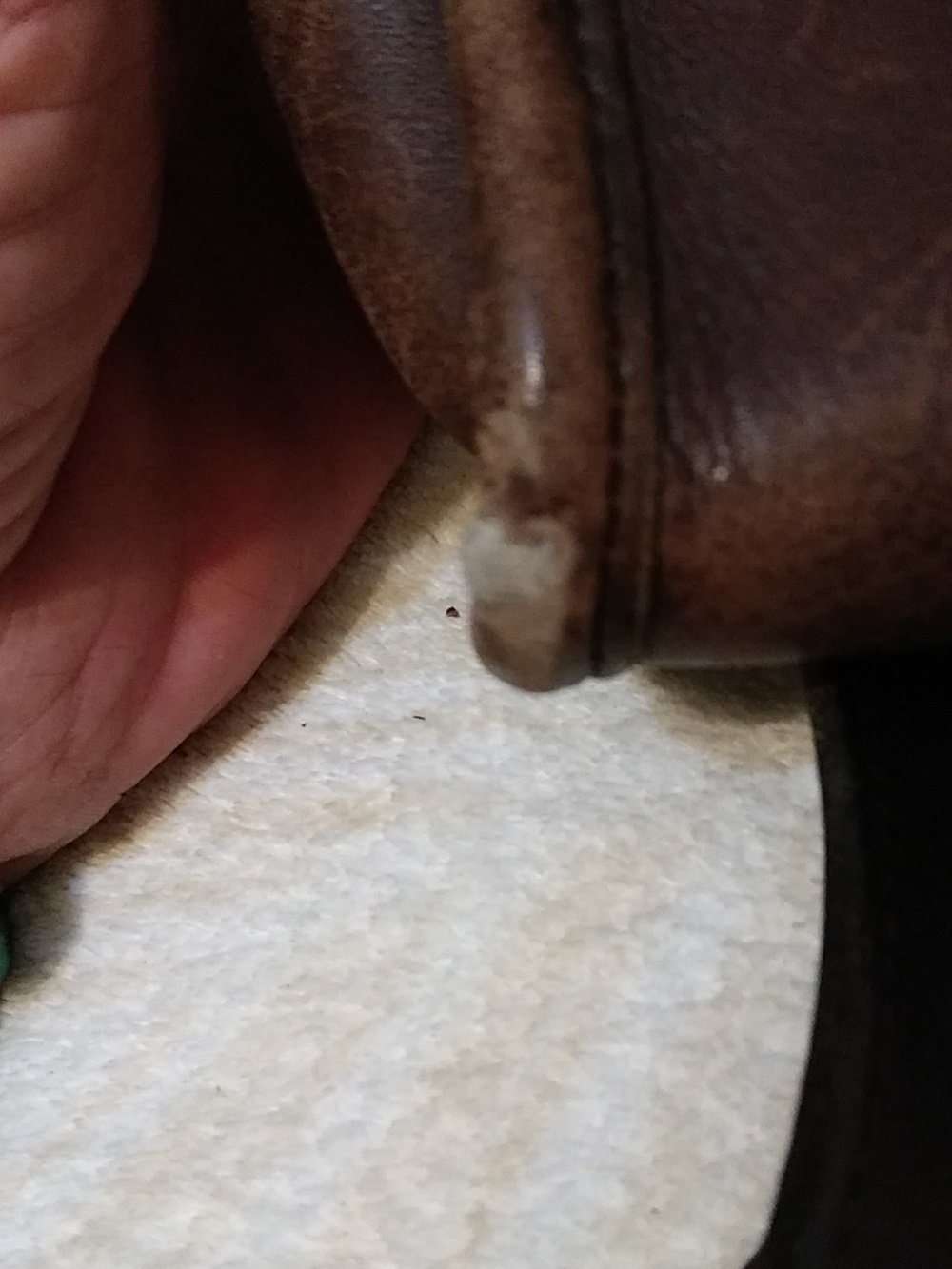 Vintage Coach Purse - Picture 8 of 11
